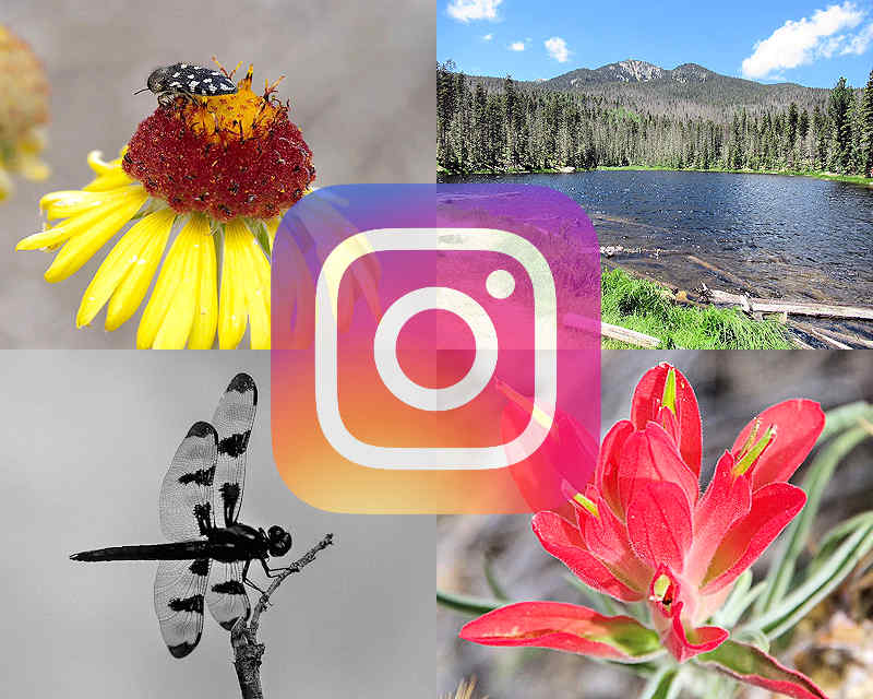 Chuck Hawley Microcosm Nature & Wildlife Photography - Albuquerque, NM Musician / Singer / Composer / Songwriter