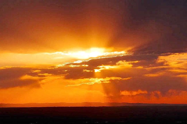 Chuck Hawley Microcosm Nature & Wildlife Photography - Albuquerque, NM Musician / Singer / Composer / Songwriter