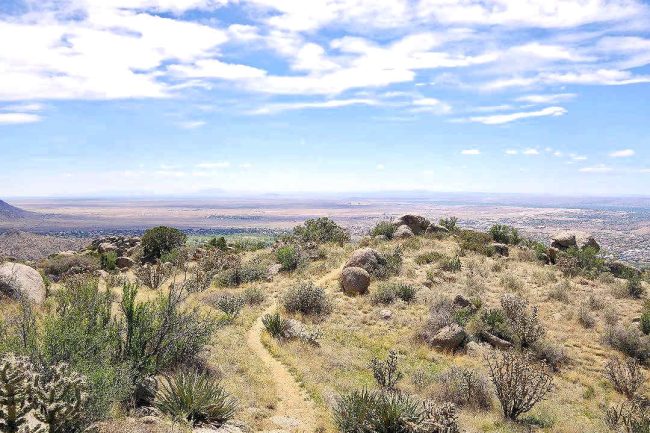 Chuck Hawley Microcosm Nature & Wildlife Photography - Albuquerque, NM Musician / Singer / Composer / Songwriter