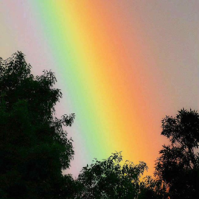 Chuck Hawley Microcosm Nature & Wildlife Photography - Albuquerque, NM Musician / Singer / Composer / Songwriter